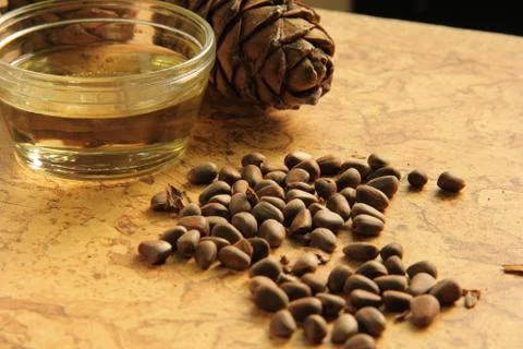 Pine nuts and bottle of essential oil Stock Photos