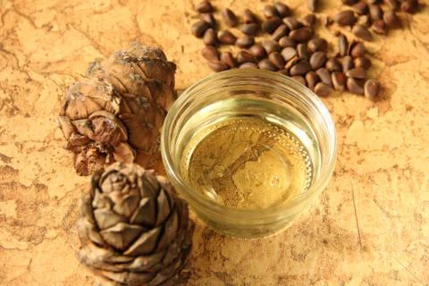Pine nuts and bottle of essential oil Stock Photos