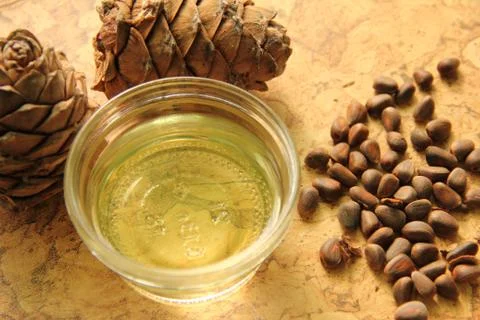 Pine nuts and bottle of essential oil Stock Photos