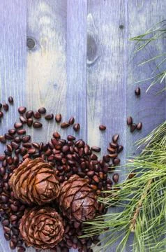 Pine nuts and cones on blue background Stock Photos