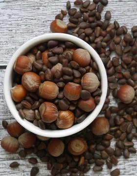 Pine nuts and hazelnuts in a white bowl Stock Photos