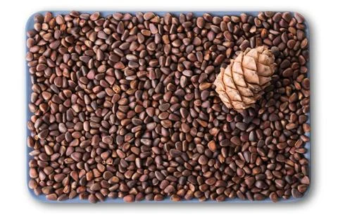 Pine nuts and pine cone closeup Stock Photos