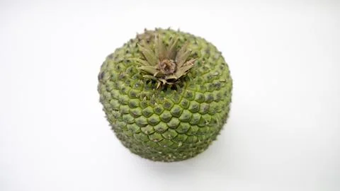 Pine nuts and pine cones natural beauty from Brazil Foto stock