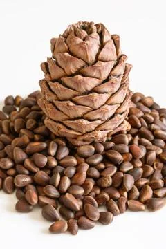 Pine nuts and ripe pine cone on a white background Stock Photos