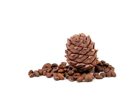 Pine nuts and ripe pine cones on a white background Foto stock