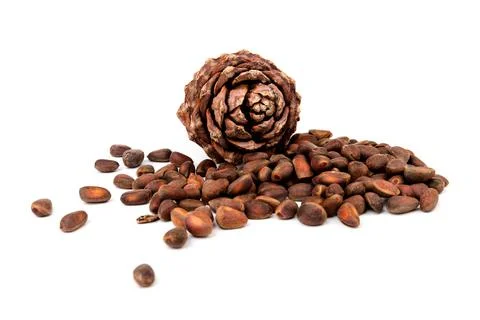 Pine nuts and ripe pine cones on a white background Stock Photos