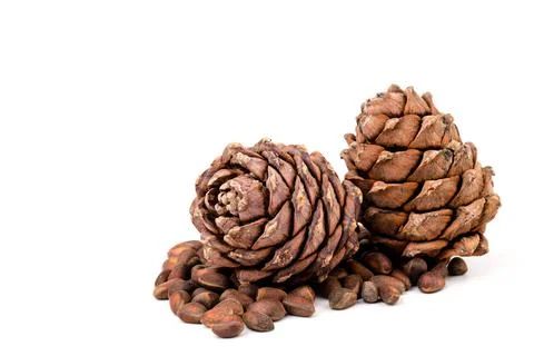 Pine nuts and ripe pine cones on a white background Foto stock