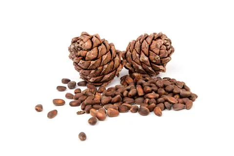 Pine nuts and ripe pine cones on a white background Foto stock