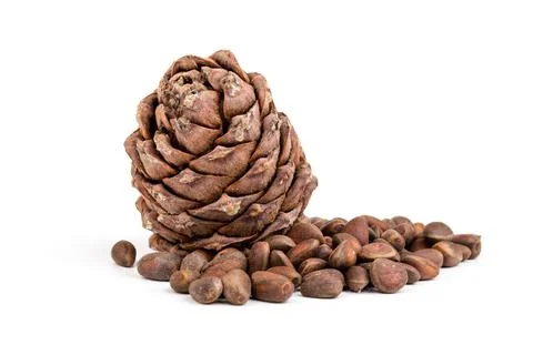 Pine nuts and ripe pine cones on a white background Foto stock