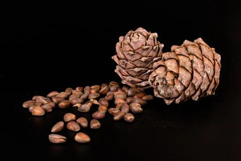 Pine nuts and ripe pine cones on a black background Stock Photos
