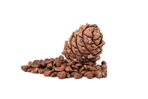 Pine nuts and ripe pine cones on a white background Stock Photos
