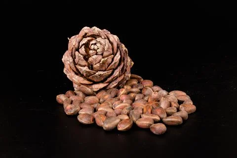 Pine nuts and ripe pine cones on a black background Foto stock