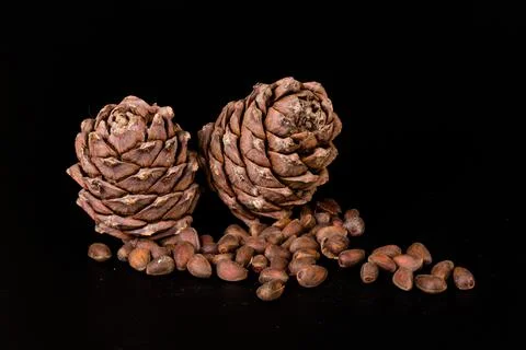 Pine nuts and ripe pine cones on a black background Foto stock