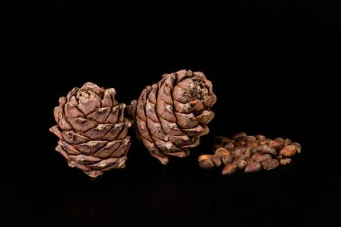 Pine nuts and ripe pine cones on a black background Stock Photos