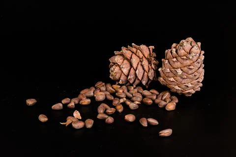 Pine nuts and ripe pine cones on a black background Stock Photos
