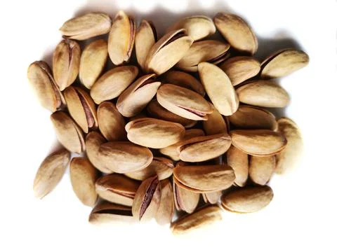 Pine nuts are nuts. Stock Photos
