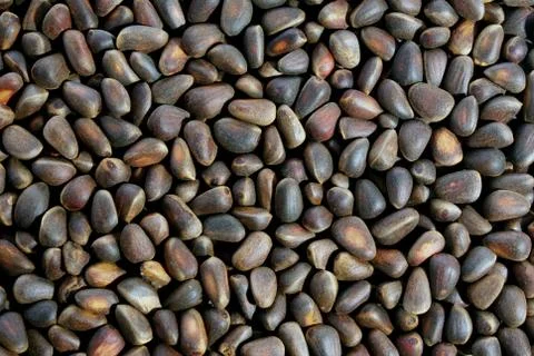 Pine nuts background Stock Photos