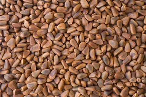 Pine nuts background Stock Photos