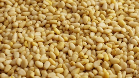 Pine nuts background. Unshelled cedar seeds, closeup Stock Footage 126016579