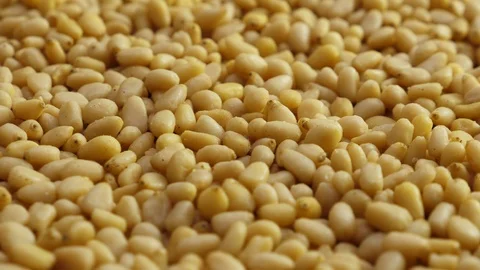 Pine nuts background. Unshelled cedar seeds, closeup Stock Footage 126017204