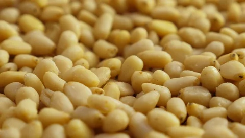 Pine nuts background. Unshelled cedar seeds, closeup Stock Footage 126017421