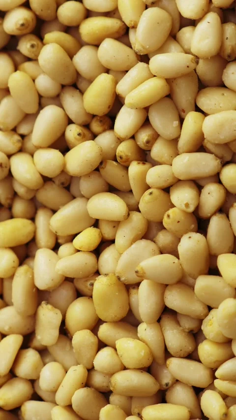 Pine nuts background. Unshelled cedar seeds, closeup. Rotate. Vertical   Stock Footage 314431580
