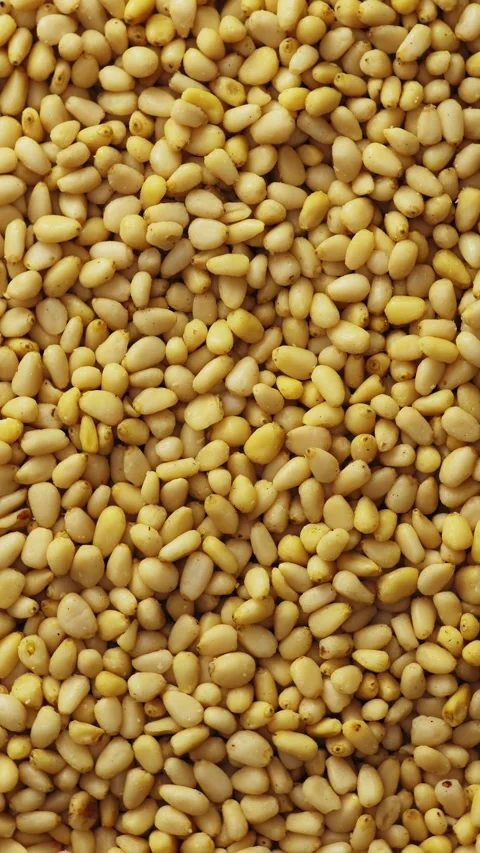 Pine nuts background. Unshelled cedar seeds, closeup. Rotate. Vertical   Stock Footage 314431601
