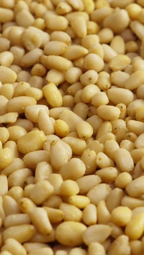 Pine nuts background. Unshelled cedar seeds, closeup. Rotate. Vertical   Stock Footage 316335474