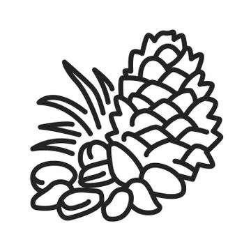 Pine nuts black line icon. Edible seeds of pine trees. One of the more expens Stock Illustration