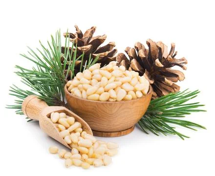 Pine nuts with branches and cones isolated on white Stock Photos