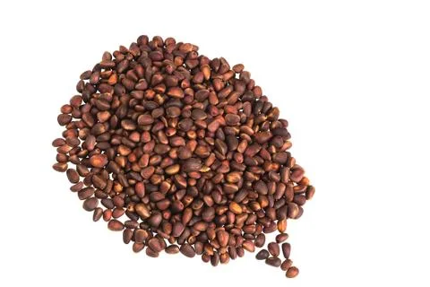 Pine nuts in bulk on a white background. Stock Photos