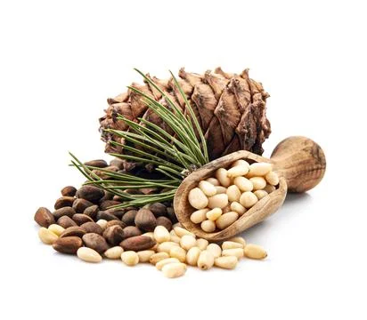 Pine nuts with cedar cones Foto stock