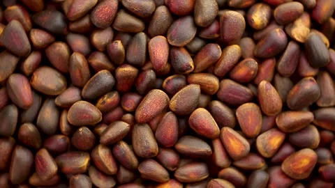 Pine nuts close-up in a circular motion, top view. Stock Footage 143522392