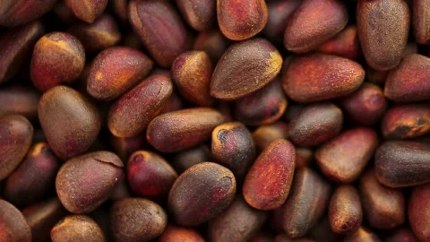 Pine nuts close-up in a circular motion, top view. Stock Footage 143522427