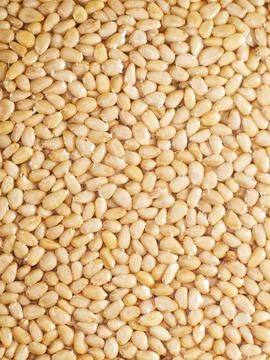 Pine nuts close-up in full screen. Surface made of peeled pine nut kernels Foto stock