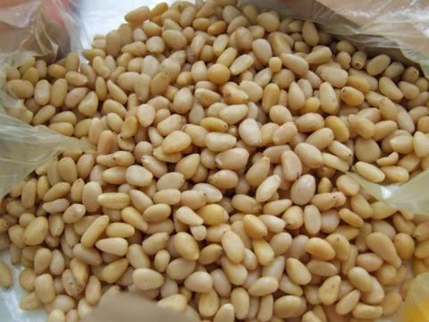 Pine nuts close-up. White peeled pine nuts in a package. Useful products for Stock Photos
