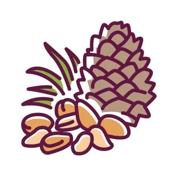 Pine nuts color line icon. Edible seeds of pine trees. One of the more expens Stock Illustration