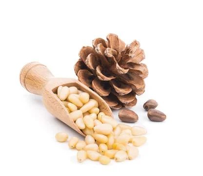 Pine nuts with cone isolated on white Stock Photos