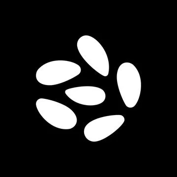 Pine nuts dark mode glyph icon Stock Illustration