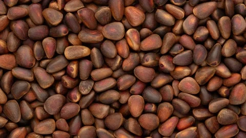Pine nuts in husk - background. Stock Footage 142518559