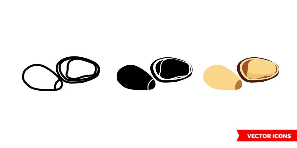 Pine nuts icon of 3 types color, black and white, outline. Isolated vector si Stock Illustration