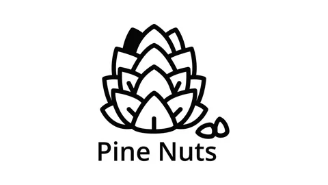 Pine nuts icon animation Stock Footage 152643374