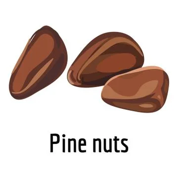 Pine nuts icon, cartoon style Stock Illustration