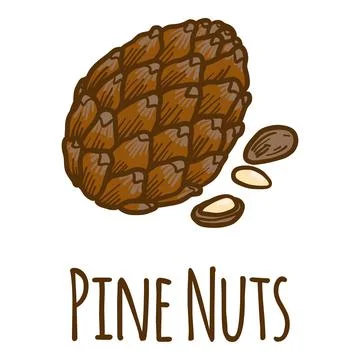 Pine nuts icon, hand drawn style Stock Illustration
