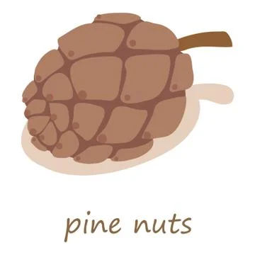 Pine nuts icon, isometric 3d style Stock Illustration