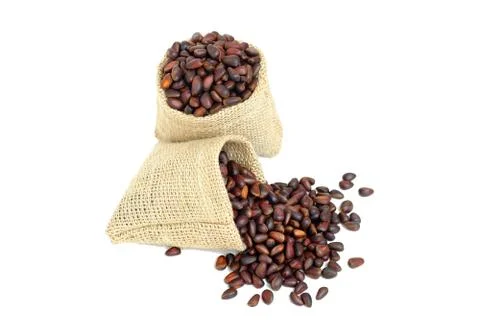 Pine nuts isolated on white background Stock Photos