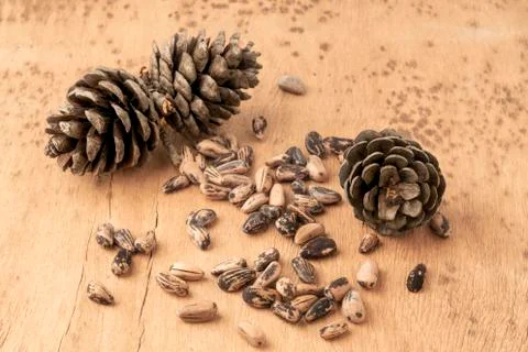 Pine nuts, kernels and cone on wooden table Foto stock