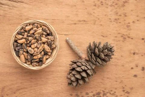 Pine nuts, kernels and cone on wooden table Foto stock