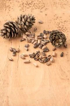 Pine nuts, kernels and cone on a wooden table Foto stock