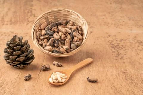Pine nuts, kernels and cone on wooden table Foto stock